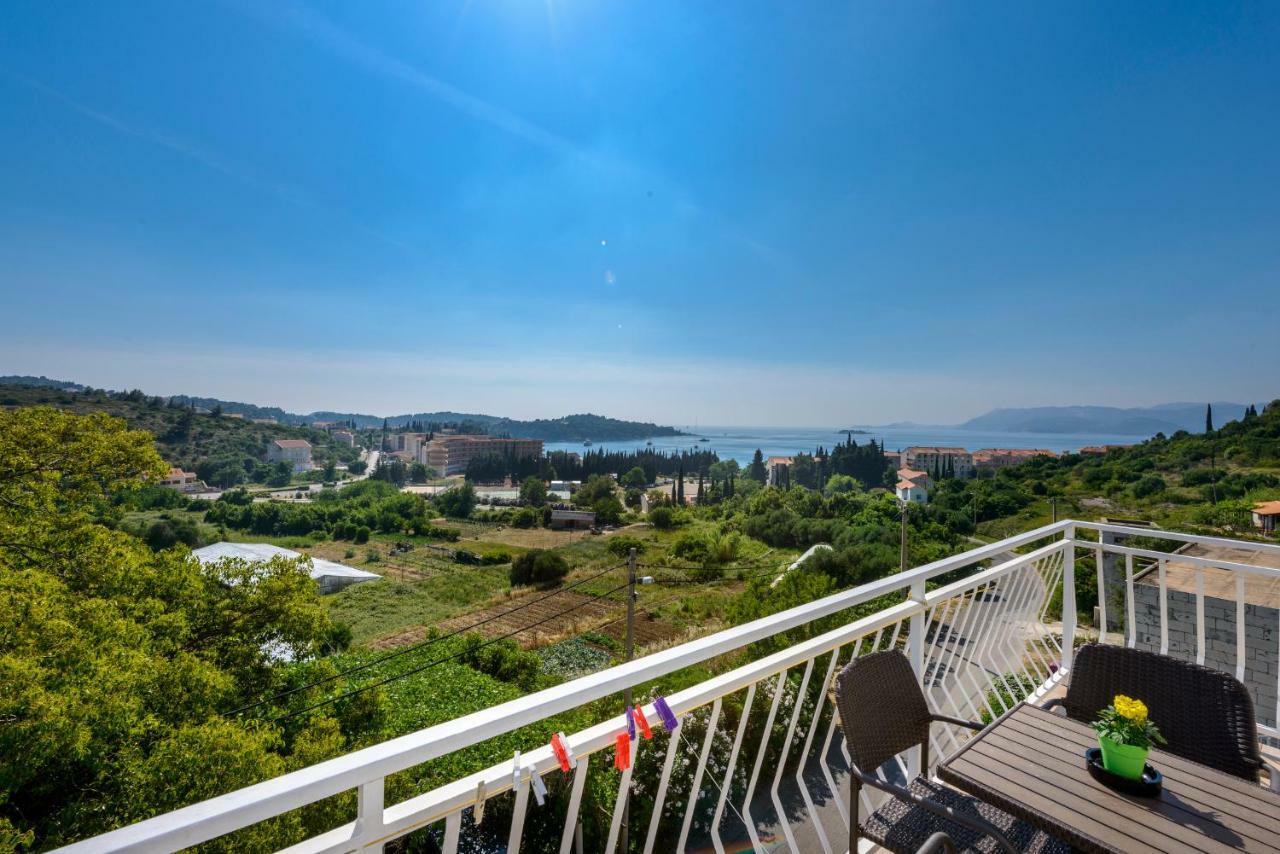 Guest house Bellevue 2